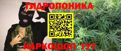 индика Ликино-Дулёво