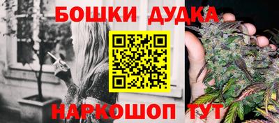 индика Ликино-Дулёво