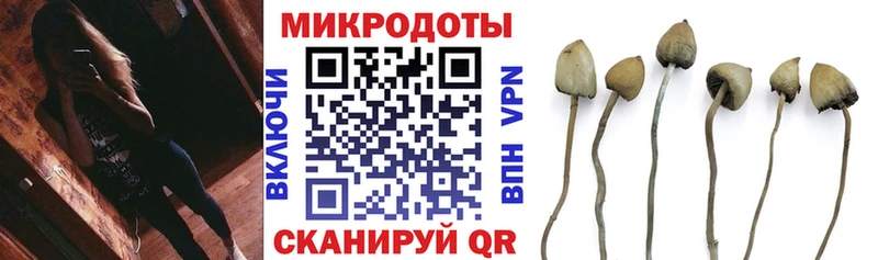 Галлюциногенные грибы Psilocybine cubensis  что такое   Зеленокумск 