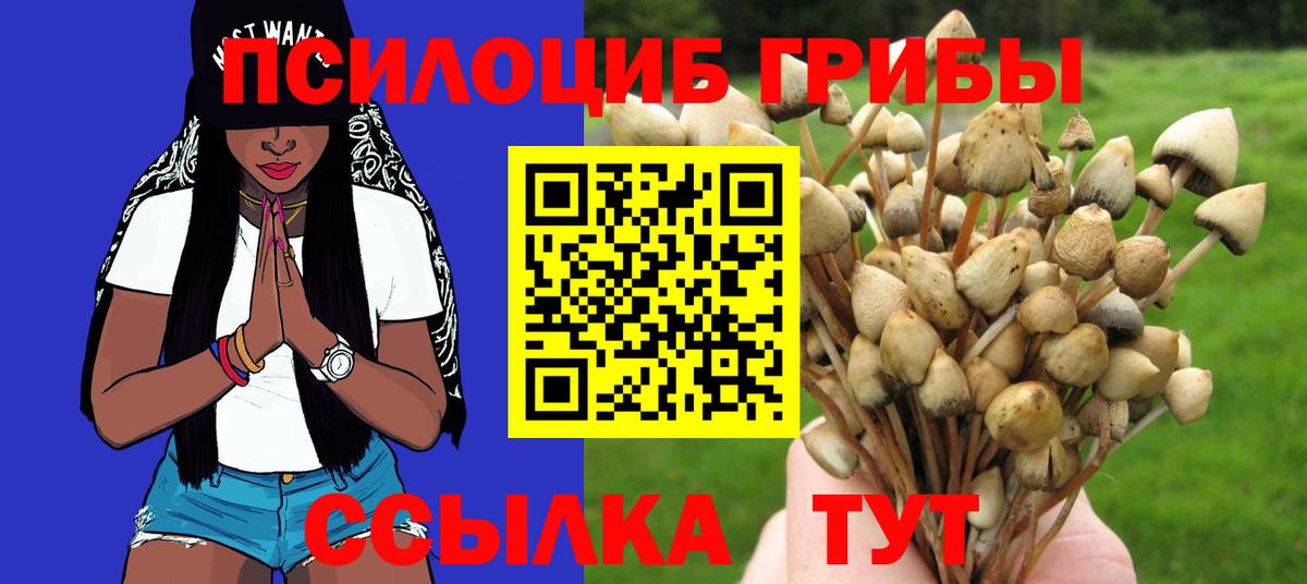 Псилоцибиновые грибы Psilocybine cubensis Зеленокумск