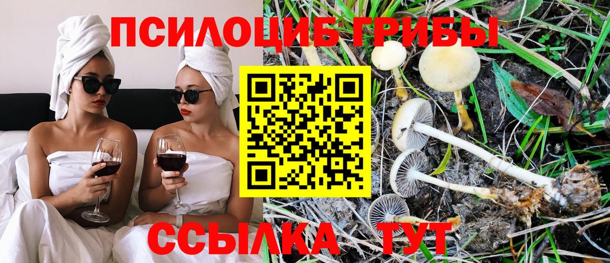 Зеленокумск  Псилоцибиновые грибы Cubensis  Псилоцибиновые грибы Psilocybe  Вход с VPN 